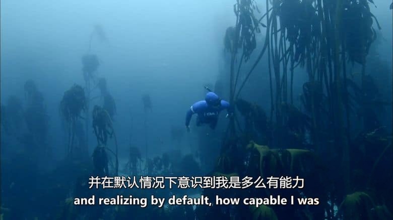 加拿大纪录片《海洋冒险家 Ocean Adventurer 2016》全2集 英语中英双字 无水印纯净版 1080P/MKV/5.52G 海洋生态插图1 加拿大纪录片《海洋冒险家 Ocean Adventurer 2016》全2集 英语中英双字 无水印纯净版 1080P/MKV/5.52G 海洋生态插图1