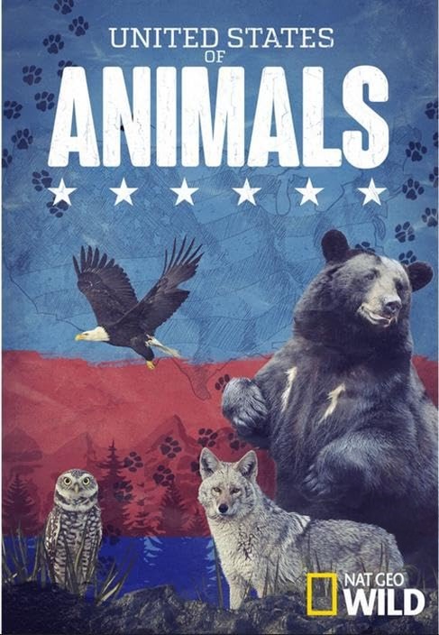 国家地理《美国动物百科 United States of Animals 2016》全12集 多国语言多国字幕 无水印纯净版 720P/MKV/10.8G 美国野生动物插图