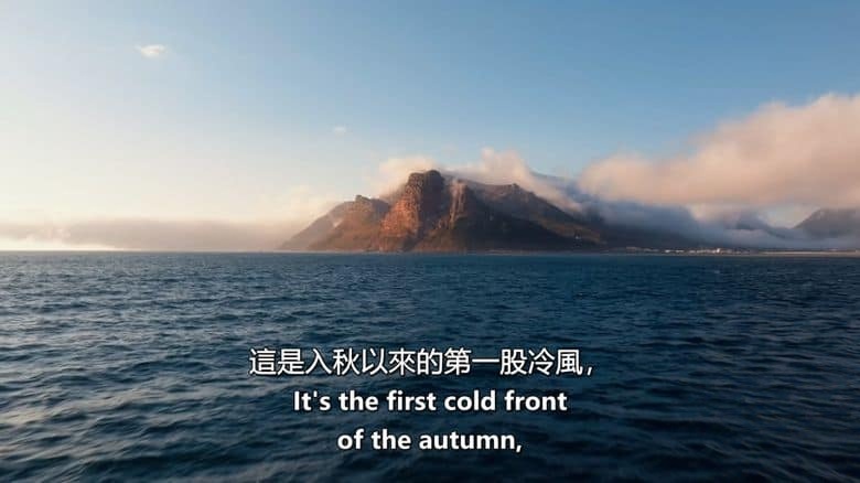 澳大利亚纪录片《狂野天空 Wild Sky 2025》第一季全4集 英语中英双字 无水印纯净版 1080P/MKV/11.2G 自然力量插图2