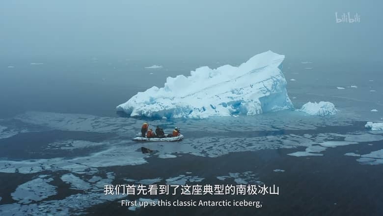 国家地理纪录片《贝尔蒂·格雷戈里：与动物零距离 Animals Up Close with Bertie Gregory 2023》第一季全6集 英语中英双字 4K超清/2160P/MKV/33.8G 动物零距离插图3