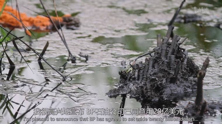 美国纪录片《严重无视 The Great Invisible 2014》英语中英双字 1080P/MP4/2.56G 海上漏油危机插图3 美国纪录片《严重无视 The Great Invisible 2014》英语中英双字 1080P/MP4/2.56G 海上漏油危机插图3