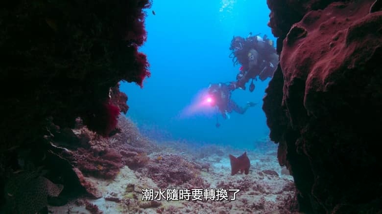 Netflix纪录片《众里寻鲨:拍摄大作战 All the Sharks 2025》全6集 英语多国字幕 无水印纯净版 1080P/MKV/13.8G 鲨鱼纪录片插图1 Netflix纪录片《众里寻鲨:拍摄大作战 All the Sharks 2025》全6集 英语多国字幕 无水印纯净版 1080P/MKV/13.8G 鲨鱼纪录片插图1