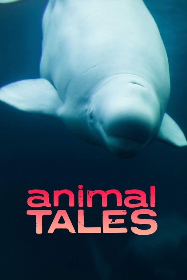 ZED纪录片《动物故事 Animal Tales 2019》全4集 英语中英双字 无水印纯净版 1080P/MKV/2.47G 动物故事插图 ZED纪录片《动物故事 Animal Tales 2019》全4集 英语中英双字 无水印纯净版 1080P/MKV/2.47G 动物故事插图