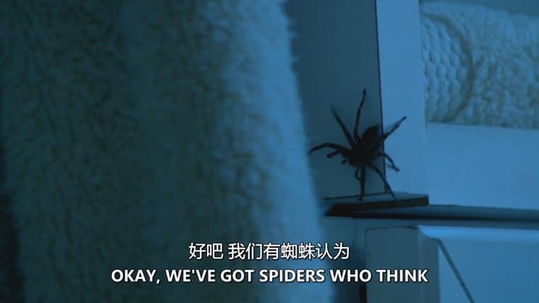 探索频道《害虫入侵！Infested! 2011》全3集 英语中英双字 无水印纯净版 1080P/MKV/6.35G 昆虫入侵插图1