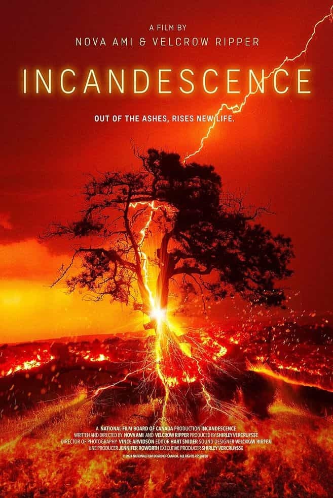 加拿大纪录片《炽热 Incandescence 2024》英语中英双字 无水印纯净版 1080P/MKV/6.71G 加拿大野火插图