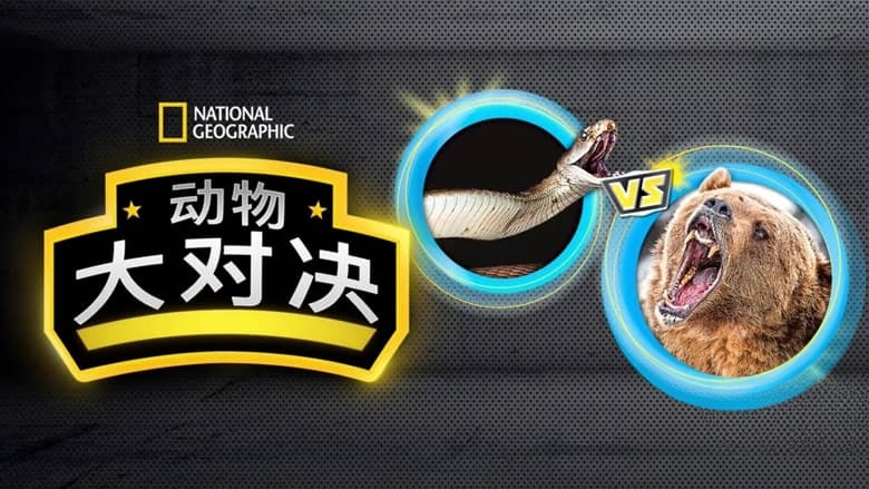 国家地理《动物大对决 Animal Showdown 2018》全6集 多国语言多国字幕 无水印纯净版 720P/MKV/1.13G 动物短片插图1