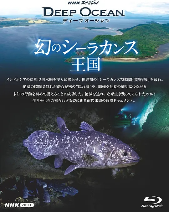 BBC纪录片《深海秘境:腔棘鱼王国 Kingdom of the Coelacanth 2025》英语中英双字 无水印纯净版 1080P/MKV/1G 深海秘境插图 BBC纪录片《深海秘境:腔棘鱼王国 Kingdom of the Coelacanth 2025》英语中英双字 无水印纯净版 1080P/MKV/1G 深海秘境插图