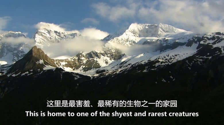 ITV纪录片《野性法国 Wild France with Ray Mears 2016》全6集 英语中英双字 无水印纯净版 1080P/MKV/7.41G 法国风光插图2 ITV纪录片《野性法国 Wild France with Ray Mears 2016》全6集 英语中英双字 无水印纯净版 1080P/MKV/7.41G 法国风光插图2