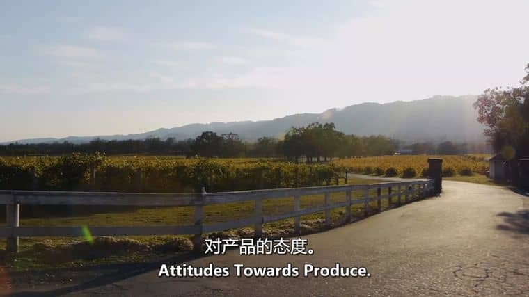 美国纪录片《有机人生 The Organic Life 2013》英语中英双字 无水印纯净版 1080P/MKV/1.14G 可持续农业插图2