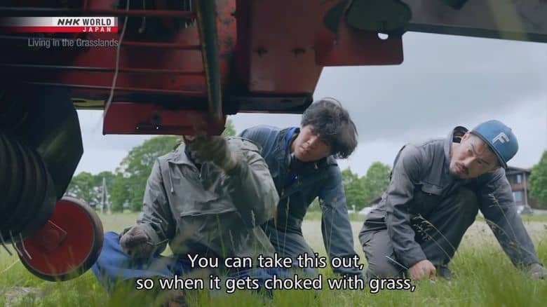 NHK纪录片《草原生活 Living in the Grasslands 2025》英语无字 1080P/MKV/948M 草原生活插图5 NHK纪录片《草原生活 Living in the Grasslands 2025》英语无字 1080P/MKV/948M 草原生活插图5