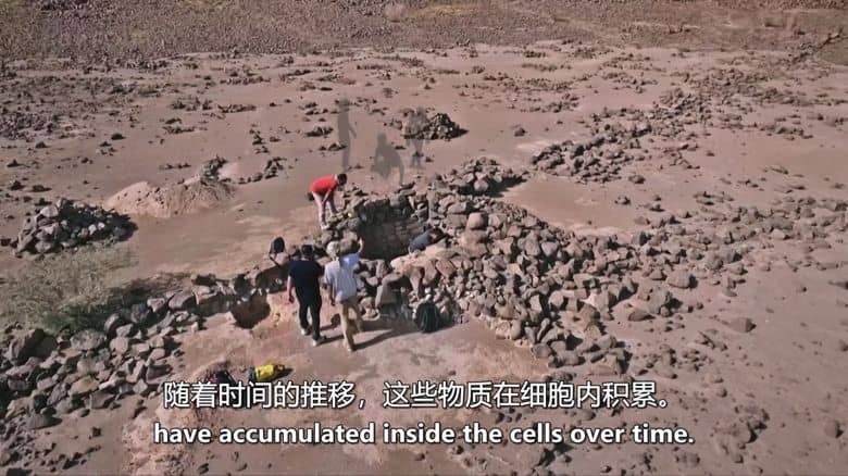 BBC纪录片《沙漠风筝之谜 The Mystery of the Desert Kites 2025》英语中英双字 无水印纯净版 1080P/MKV/1.12G 神秘史前巨型结构插图3 BBC纪录片《沙漠风筝之谜 The Mystery of the Desert Kites 2025》英语中英双字 无水印纯净版 1080P/MKV/1.12G 神秘史前巨型结构插图3
