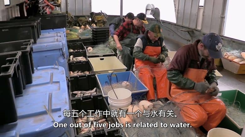 美国纪录片《偷鱼贼：五大湖之谜 The Fish Thief: A Great Lakes Mystery 2025》英语中英双字 无水印纯净版 1080P/MKV/4.88G 淡水生态插图2