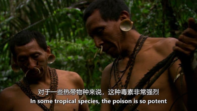 德国纪录片《植物的力量 Power of Plants 2022》全2集 英语中英双字 无水印纯净版 1080P/MKV/7G 植物的力量插图4