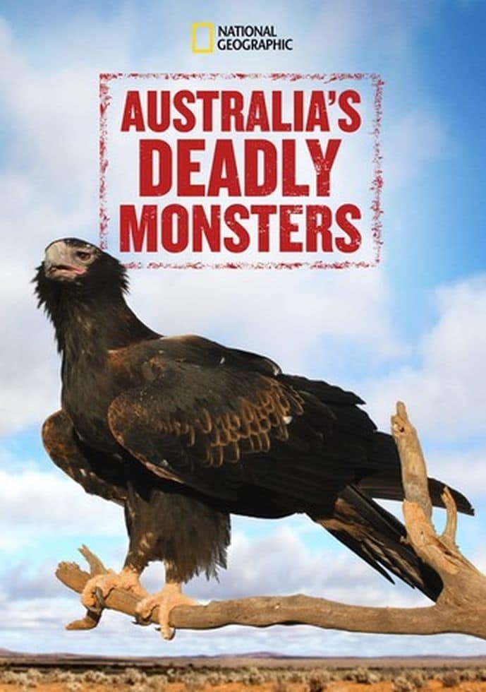 国家地理《澳大利亚的致命怪物 Australias Deadly Monsters 2017》全3集 英语中英双字 无水印纯净版 1080P/MKV/8.19G 致命动物插图