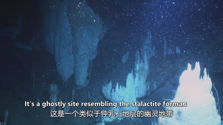 NHK纪录片《海洋深处 Deep Ocean 2015-2018》全3集 英语中英双字 无水印纯净版 1080P/MKV/2.93G 深海探索插图4 NHK纪录片《海洋深处 Deep Ocean 2015-2018》全3集 英语中英双字 无水印纯净版 1080P/MKV/2.93G 深海探索插图4