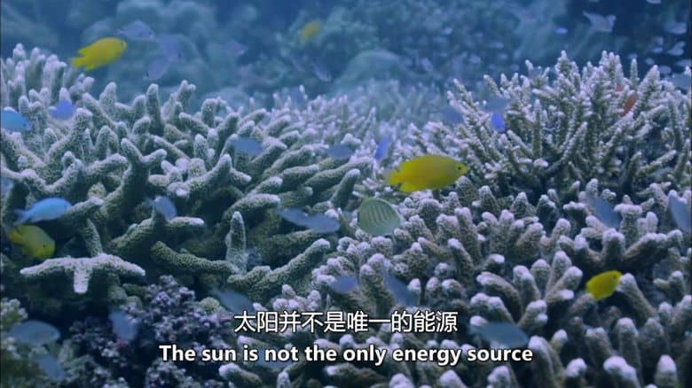 ABC纪录片《自然现象 Phenomena 2021》全5集 英语中英双字 无水印纯净版 1080P/MKV/15.4G 探索自然界插图4