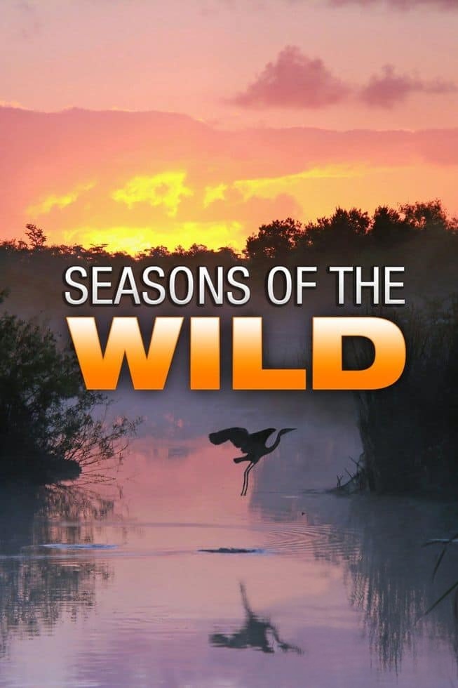 加拿大纪录片《荒野四季 Seasons of the Wild 2015》全2集 英语中英双字 无水印纯净版 1080P/MKV/6.39G 四季仙境插图