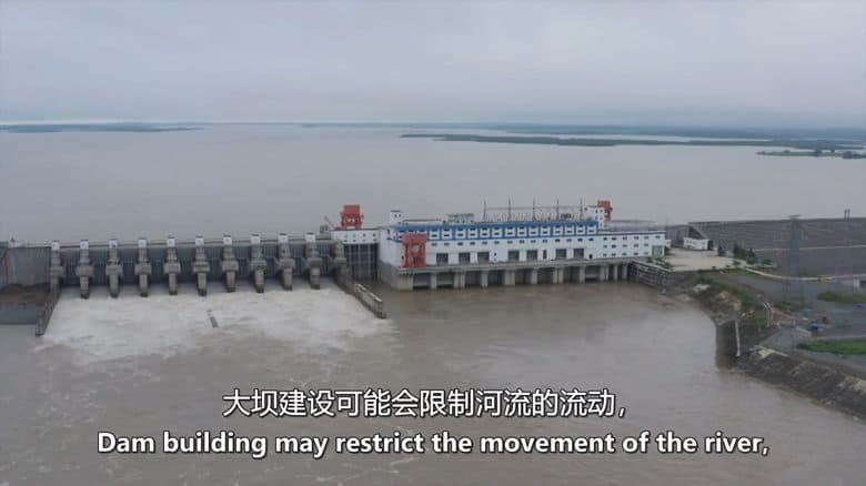 BBC纪录片《湄公河的最后希望 The Mighty Mekong’s Last Hope 2023》英语中英双字 无水印纯净版 1080P/MKV/1.52G 湄公河生态插图2 BBC纪录片《湄公河的最后希望 The Mighty Mekong’s Last Hope 2023》英语中英双字 无水印纯净版 1080P/MKV/1.52G 湄公河生态插图2