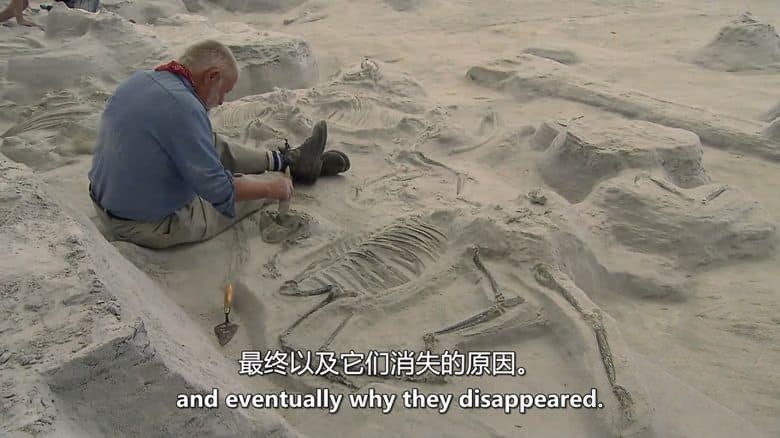 美国纪录片《考古侦探：剑齿虎、乳齿象和哺乳动物的崛起 Paleo Sleuths: Saber-Toothed Tigers, Mastodons, and the Rise of Mammals 2016》英语中英双字 无水印纯净版 1080P/MKV/6.88G 古代哺乳动物插图1