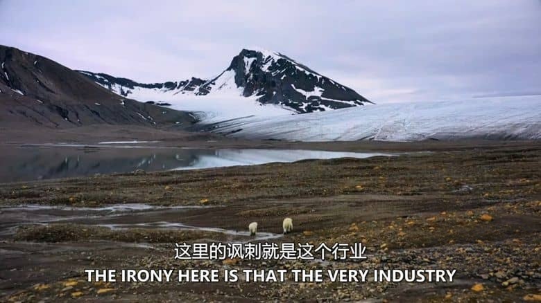 探索频道《废弃建筑之谜：动物崛起 Mysteries of the Abandoned: Animal Uprising 2020》英语中英双字 无水印纯净版 1080P/MKV/1.85G 废弃建筑插图2