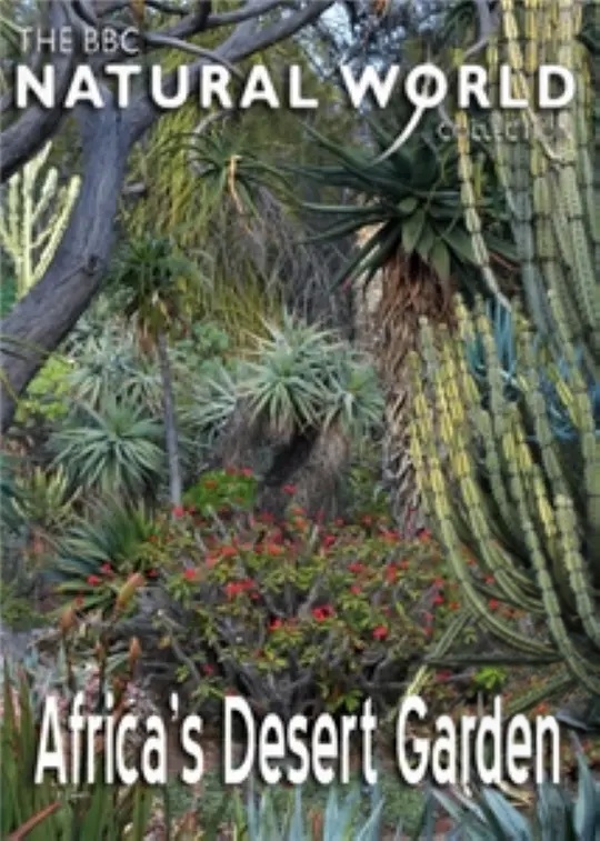 英国纪录片《纳马夸兰：非洲沙漠花园 Namaqualand：Africa’s Desert Garden 2005》英语中英双字 无水印纯净版 1080P/MKV/3.32G 非洲沙漠花园插图