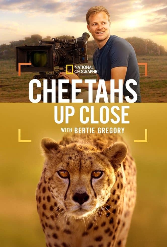 国家地理《摄影师伯蒂与猎豹零距离 Cheetahs Up Close with Bertie Gregory 2026》英语多国字幕 无水印纯净版 1080P/MKV/832M 塞伦盖蒂野生动物插图 国家地理《摄影师伯蒂与猎豹零距离 Cheetahs Up Close with Bertie Gregory 2026》英语多国字幕 无水印纯净版 1080P/MKV/832M 塞伦盖蒂野生动物插图