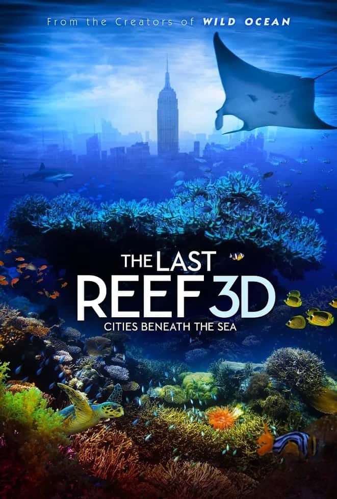 美国纪录片《最后的珊瑚礁 The Last Reef: Cities Beneath the Sea 2012》英语中英双字 4K蓝光原盘收藏版 4K超清/2160P/MP4/18.6G 消失的海底之城插图