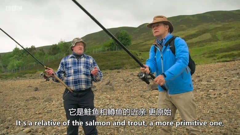BBC纪录片《苏格兰川流深度游 Grand Tours of Scotlands Rivers 2021》全6集 英语中英双字 1080P/MKV/9.72G 苏格兰河流插图2 BBC纪录片《苏格兰川流深度游 Grand Tours of Scotlands Rivers 2021》全6集 英语中英双字 1080P/MKV/9.72G 苏格兰河流插图2
