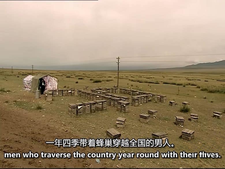 美国纪录片《最后的自由人 The Last Free Men 2008》全4集 英语中英双字 无水印纯净版 标清576P/MKV/6.19G 远离现代社会插图3
