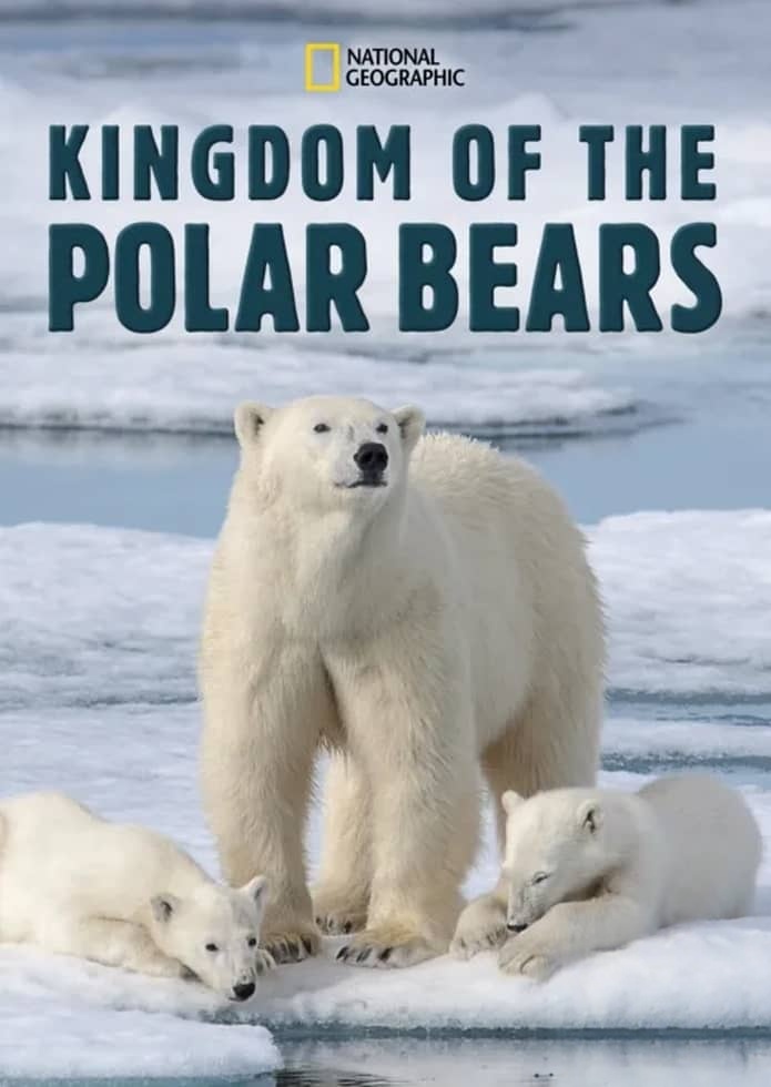 国家地理《北极熊王国 Kingdom of the Polar Bears 2021》全2集 多国语言多国字幕 无水印纯净版 720P/MKV/3.5G 北极熊插图 国家地理《北极熊王国 Kingdom of the Polar Bears 2021》全2集 多国语言多国字幕 无水印纯净版 720P/MKV/3.5G 北极熊插图