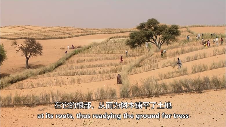 美国纪录片《极端!- 从干旱到洪水 Extreme! – From Drought to Deluge 2010》英语中英双字 无水印纯净版 1080P/MKV/4.87G 地球灾害插图5 美国纪录片《极端!- 从干旱到洪水 Extreme! – From Drought to Deluge 2010》英语中英双字 无水印纯净版 1080P/MKV/4.87G 地球灾害插图5