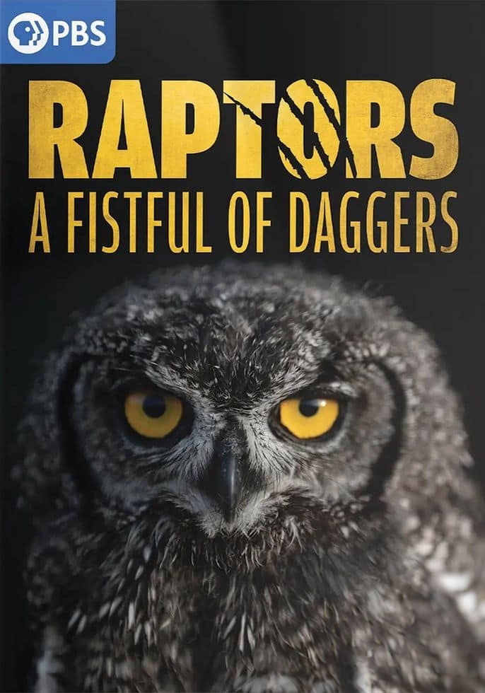 PBS纪录片《大自然的魔法之旅 Raptors – A Fistful of Daggers 2024》全2集 英语中英双字 无水印纯净版 1080P/MKV/6.31G 猛禽插图