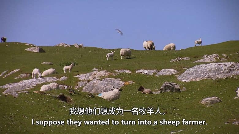 BBC纪录片《苏格兰岛屿的伟大之旅 Grand Tours of the Scottish Islands 2016》第四季全6集 英语中英双字 无水印纯净版 1080P/MKV/16G 岛屿之旅插图4