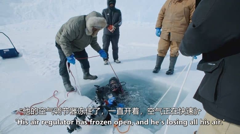 英国纪录片《史蒂夫·巴克肖的皇家北极挑战 Steve Backshall’s Royal Arctic Challenge 2025》英语中英双字 无水印纯净版 1080P/MKV/1.5G 北极探险插图7