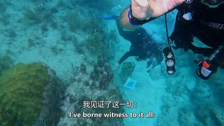 PBS纪录片《追求零碳 Chasing Carbon Zero 2023》英语中英双字 无水印纯净版 1080P/MKV/2.73G 环保纪录片插图3 PBS纪录片《追求零碳 Chasing Carbon Zero 2023》英语中英双字 无水印纯净版 1080P/MKV/2.73G 环保纪录片插图3