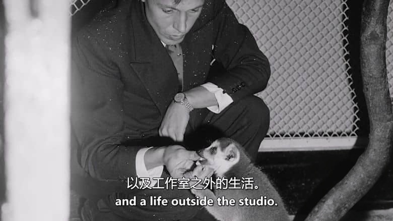 英国纪录片《大卫·爱登堡：地球上的生活 David Attenborough: A Life on Earth 2023》英语中英双字 无水印纯净版 1080P/MKV/2.57G 英国国宝级人物插图2