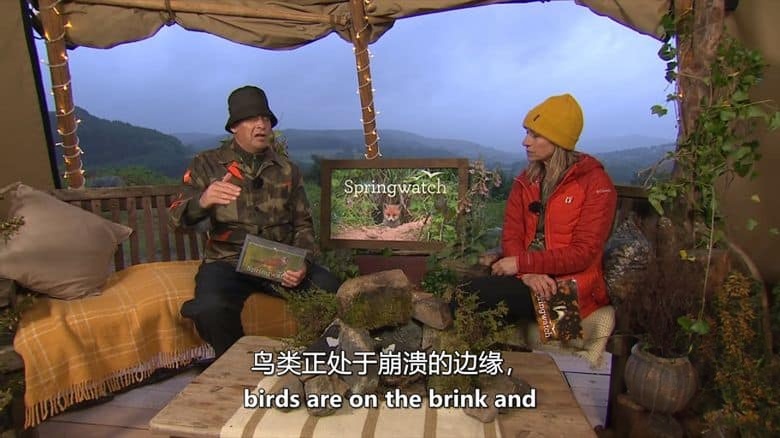 BBC纪录片《赏春 Springwatch 2025》全12集 英语中英双字 无水印纯净版 1080P/MKV/22.48GB 英伦春日插图6