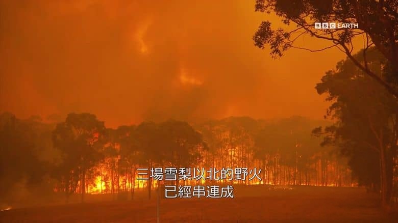BBC纪录片《气候变化:艾德前线调查 Climate Change: Ade on the Frontline 2021》第一季全3集 英语中英双字 无水印纯净版 1080P/MKV/8.58G 环境保护插图1 BBC纪录片《气候变化:艾德前线调查 Climate Change: Ade on the Frontline 2021》第一季全3集 英语中英双字 无水印纯净版 1080P/MKV/8.58G 环境保护插图1