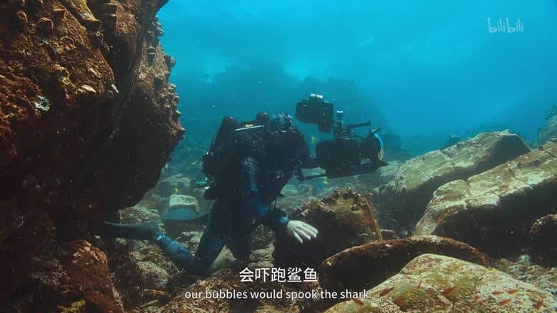 国家地理纪录片《贝尔蒂·格雷戈里：与动物零距离 Animals Up Close with Bertie Gregory 2023》第一季全6集 英语中英双字 4K超清/2160P/MKV/33.8G 动物零距离插图5