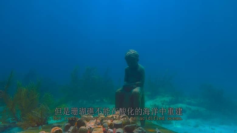 美国纪录片《最后的珊瑚礁 The Last Reef: Cities Beneath the Sea 2012》英语中英双字 4K蓝光原盘收藏版 4K超清/2160P/MP4/18.6G 消失的海底之城插图7