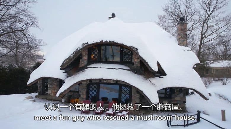 Sky纪录片《珊瑚之城 Coral City 2025》全4集 英语中英双字 无水印纯净版 1080P/MKV/11.2G 珊瑚城插图8 Sky纪录片《珊瑚之城 Coral City 2025》全4集 英语中英双字 无水印纯净版 1080P/MKV/11.2G 珊瑚城插图8