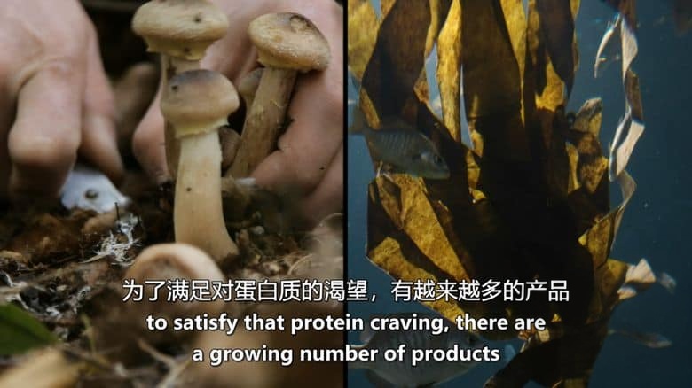 美国纪录片《再生农业 Common Ground 2025》英语中英双字 无水印纯净版 1080P/MKV/7.15G 可持续农业插图3