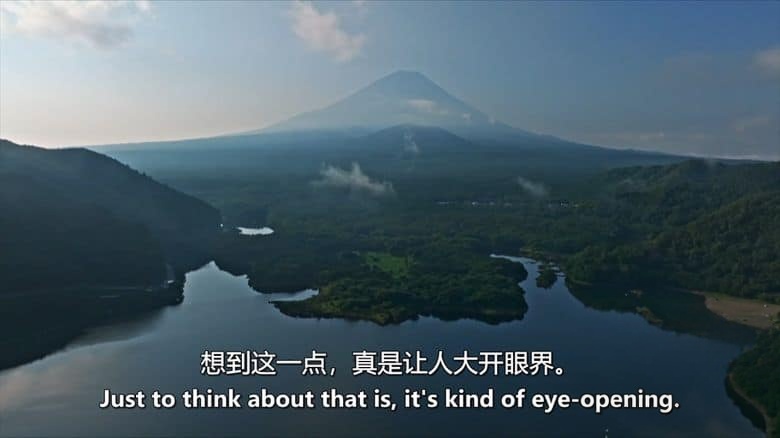 美国纪录片《虫临天下 Bugs That Rule the World 2025》第一季全4集 英语中英双字 无水印纯净版 1080P/MKV/7.28G 统治世界的虫族插图5