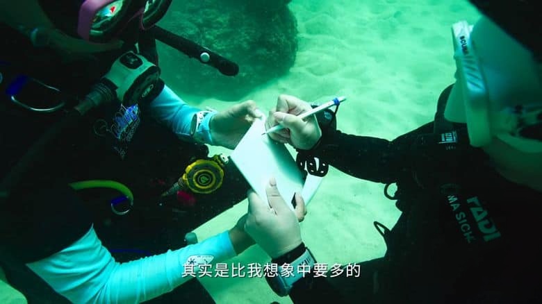 国产纪录片《海洋守蔚者 2025》全5集 国语中字 1080P/MKV/1.44G 海洋保护短片插图2 国产纪录片《海洋守蔚者 2025》全5集 国语中字 1080P/MKV/1.44G 海洋保护短片插图2
