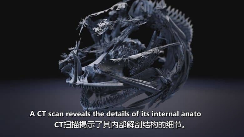 NHK纪录片《海洋深处 Deep Ocean 2015-2018》全3集 英语中英双字 无水印纯净版 1080P/MKV/2.93G 深海探索插图3 NHK纪录片《海洋深处 Deep Ocean 2015-2018》全3集 英语中英双字 无水印纯净版 1080P/MKV/2.93G 深海探索插图3