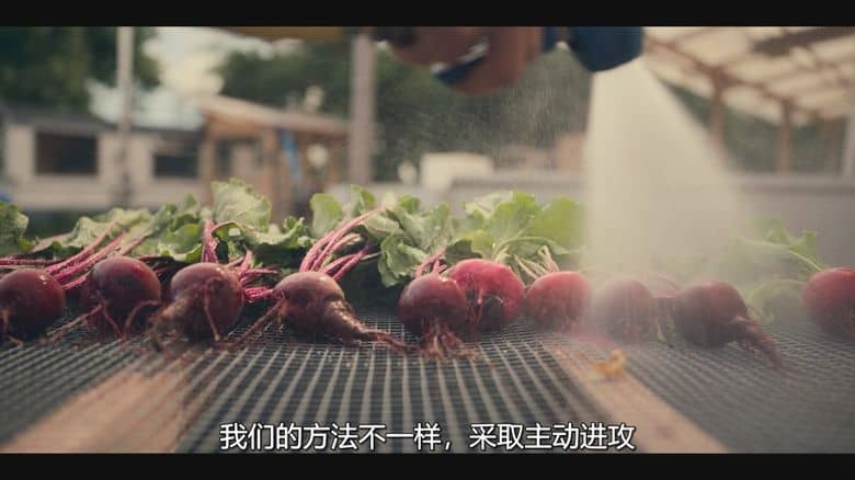 迪士尼纪录片《农耕新时代 Farm Rebellion 2023》第一季全6集 英语多国字幕 无水印纯净版 1080P/MKV/16.3G 农耕生活插图6 迪士尼纪录片《农耕新时代 Farm Rebellion 2023》第一季全6集 英语多国字幕 无水印纯净版 1080P/MKV/16.3G 农耕生活插图6