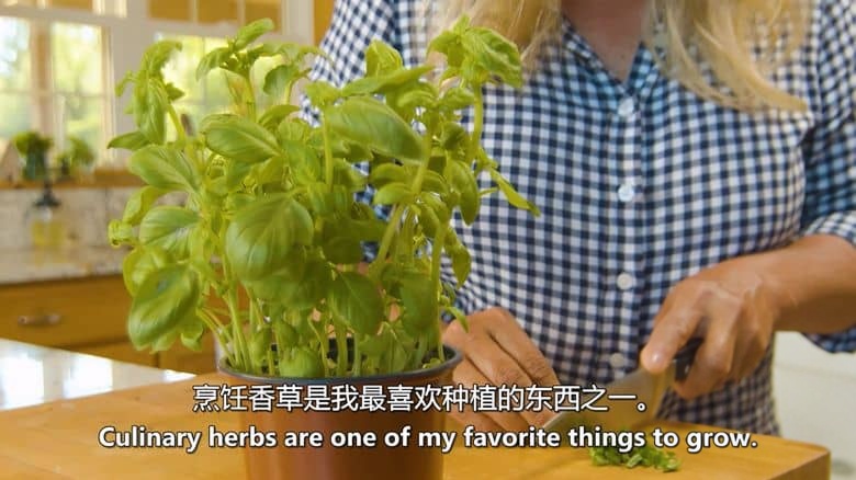 PBS纪录片《欢迎来到我的农场 Welcome to My Farm 2022》全8集 英语中英双字 无水印纯净版 1080P/MKV/13.3G 农场生活插图6 PBS纪录片《欢迎来到我的农场 Welcome to My Farm 2022》全8集 英语中英双字 无水印纯净版 1080P/MKV/13.3G 农场生活插图6