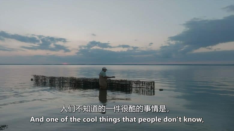 美国纪录片《逆流而上：东海岸的生活 Against the Current: Life on the Eastern Shore 2024》英语中英双字 无水印纯净版 1080P/MKV/2.61G 沿海居民插图2