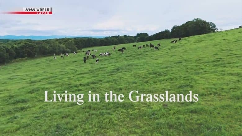 NHK纪录片《草原生活 Living in the Grasslands 2025》英语无字 1080P/MKV/948M 草原生活插图 NHK纪录片《草原生活 Living in the Grasslands 2025》英语无字 1080P/MKV/948M 草原生活插图