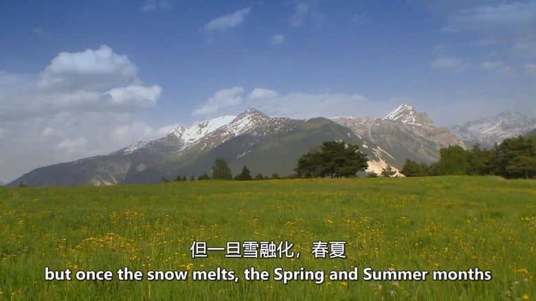 ITV纪录片《野性法国 Wild France with Ray Mears 2016》全6集 英语中英双字 无水印纯净版 1080P/MKV/7.41G 法国风光插图5 ITV纪录片《野性法国 Wild France with Ray Mears 2016》全6集 英语中英双字 无水印纯净版 1080P/MKV/7.41G 法国风光插图5